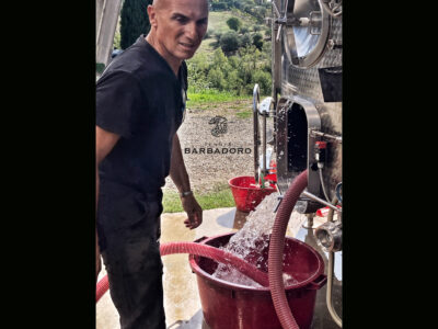 Tenuta Barbadoro Azienda (3)